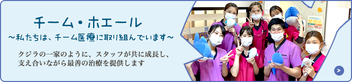 チーム・ホエール~私たちは、チーム医療に取り組んでいます~